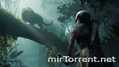 Shadow of the Tomb Raider Definitive Edition /       